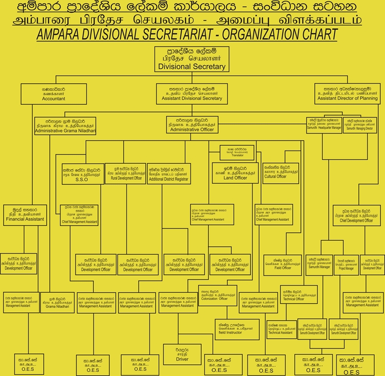 Organization Chart Fainal 3