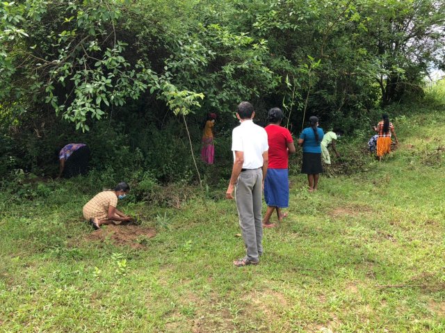 සුරකිමු ගංඟා ජාතික වැඩසටහන 